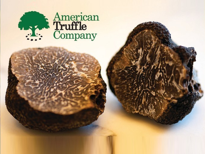 First Scientifically Cultivated Truffle Harvest in America Perishable
