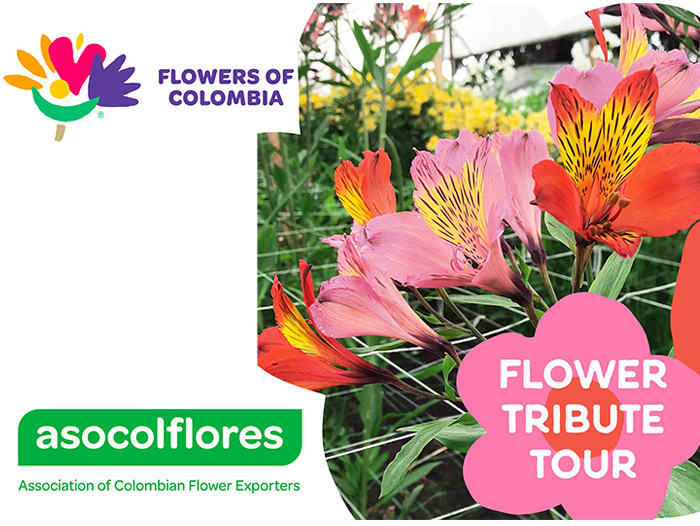 Flowers of Colombia Promotes Beauty and Diversity of Colombian Flowers With “Flower Tribute Tour