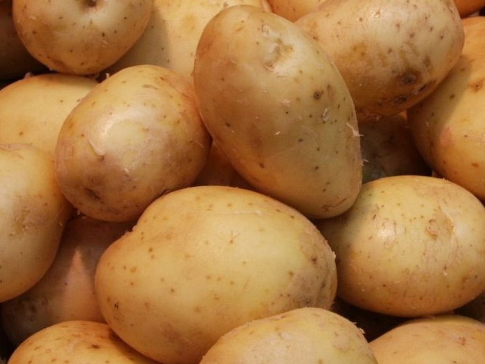 USDA Terminates Southeastern States Irish Potato Marketing Order