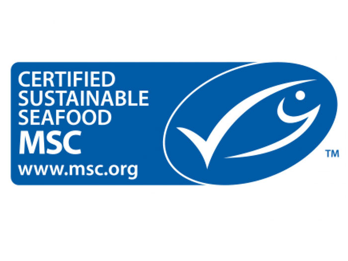 Purse Seine Fishing, Marine Stewardship Council