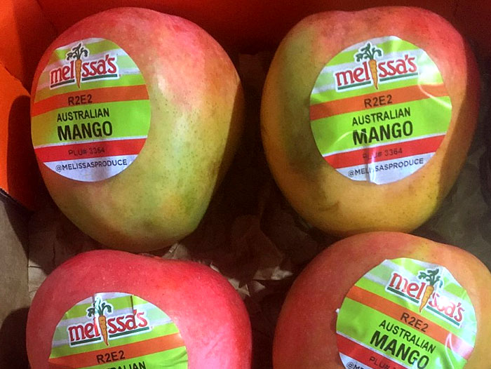 Organic Apples — Melissas Produce