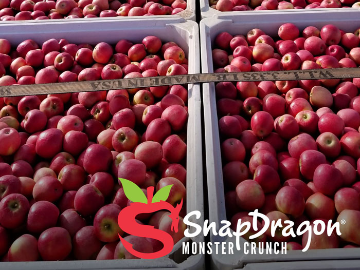 SnapDragon Apples Kick Off New, Multi-Year Partnership with the