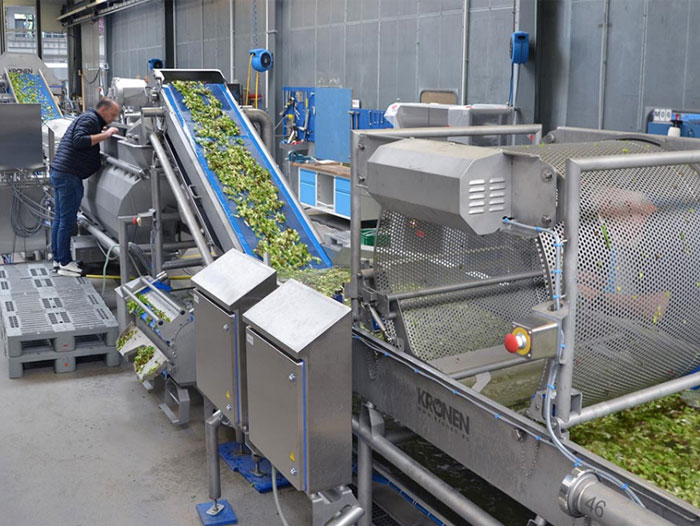 Vegetable peeling machines – KRONEN