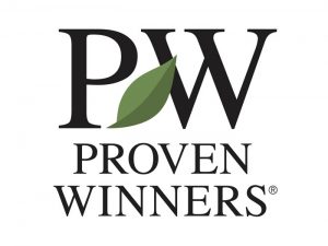 Proven Winners Hosts First-Ever Creators Roundtable Event for Plant Influencers