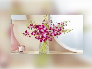 庆祝新的开始:1-800-Flowers.com介绍它的2023年年度花卉和植物