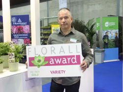 Florall Fair: Rosa ‘Green Summer’ Wins the Golden Florall Award