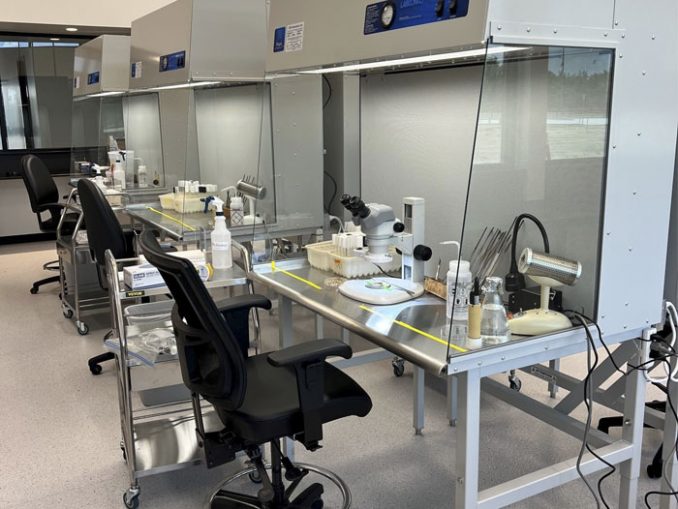 World's Largest Table Grape Breeder IFG Set to Open New Stateofthe