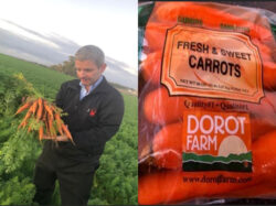 BDA/Dorot Farm Carrots Launching Upcoming Season’s New Crop at the NY Produce Show